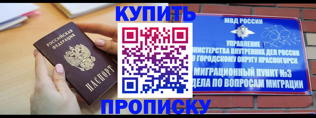 временная регистрация в Кингисеппе